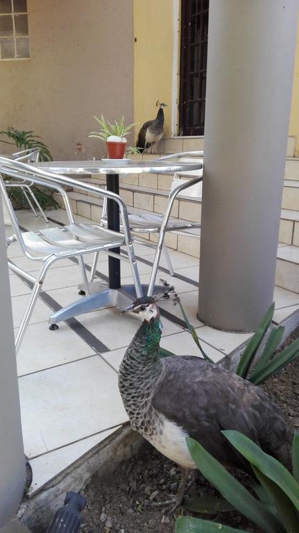 Villa Via Hotel Midrand Zewnętrze zdjęcie